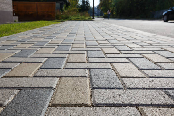 Best Driveway Pavers Near Me  in Belhaven, NC